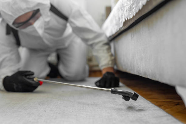 Professional Cockroach Control technician working in Hallstead, PA